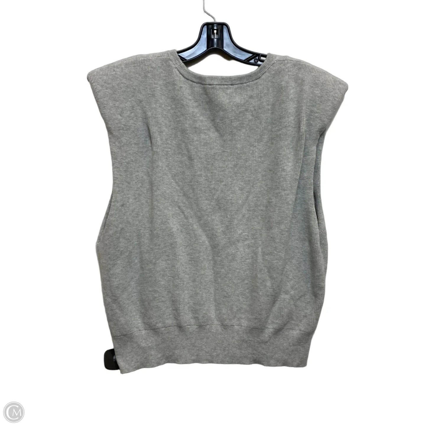 Top Sleeveless By Express In Grey, Size: L