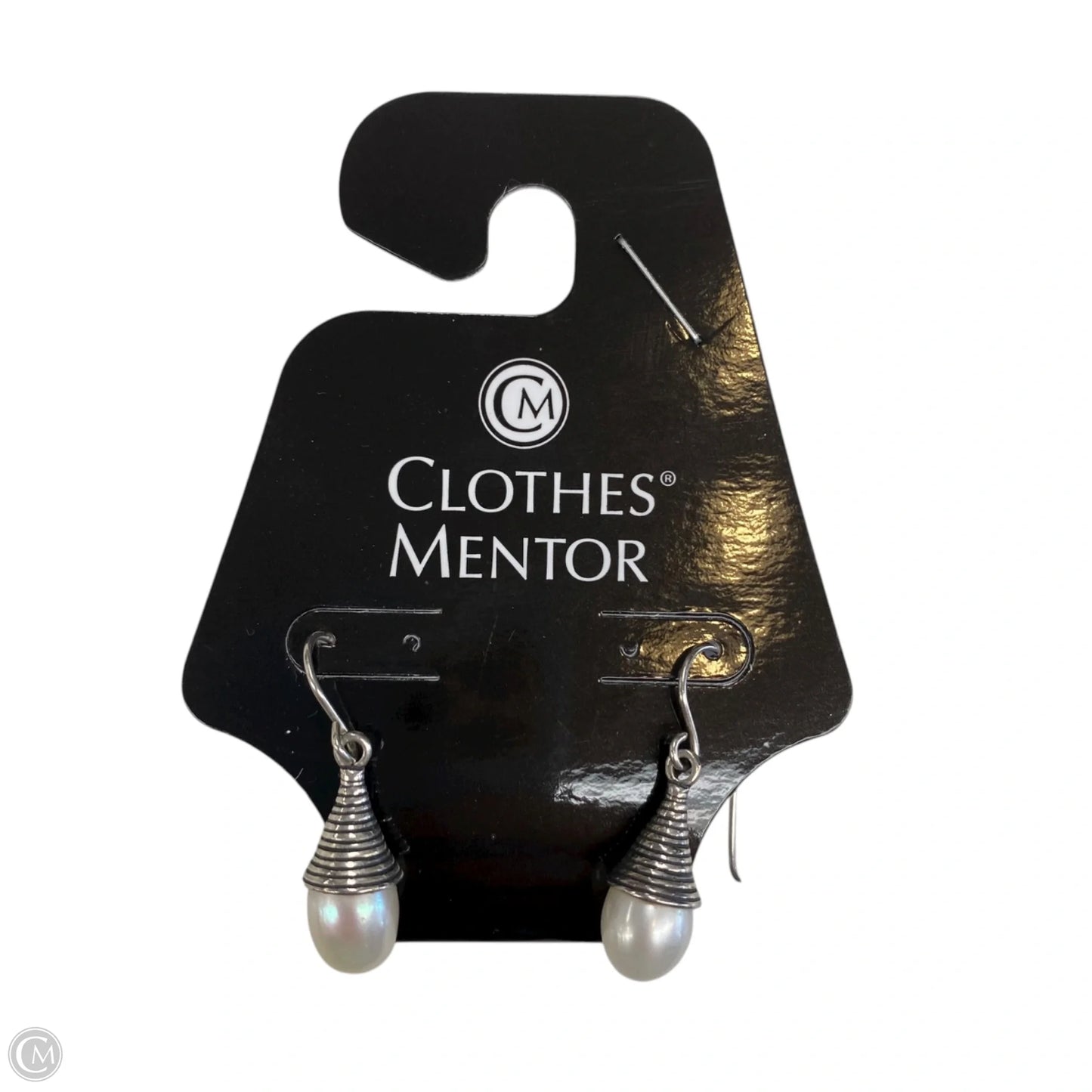 Earrings Dangle/drop By Clothes Mentor