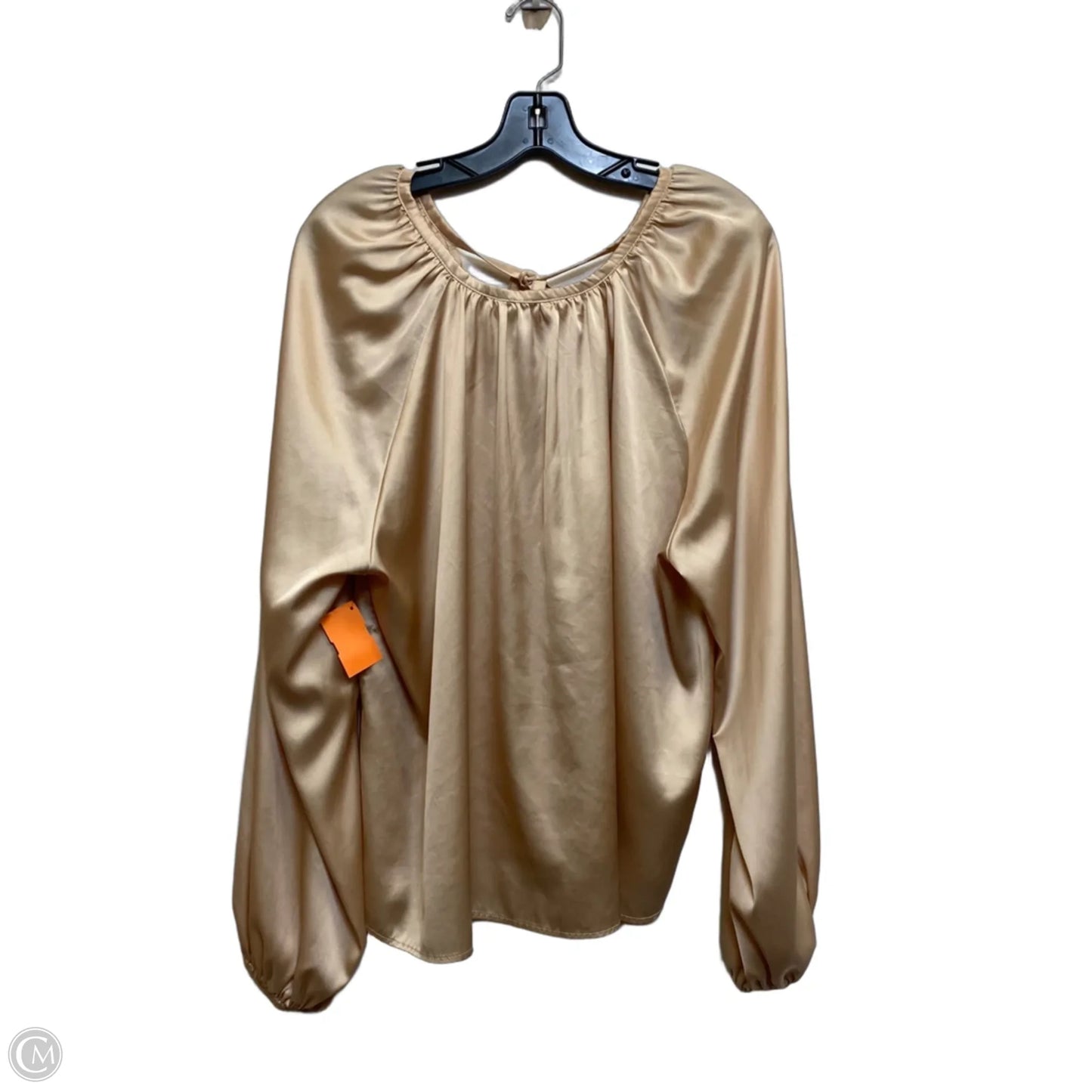 Blouse Long Sleeve By Cmf In Tan, Size: Xxl