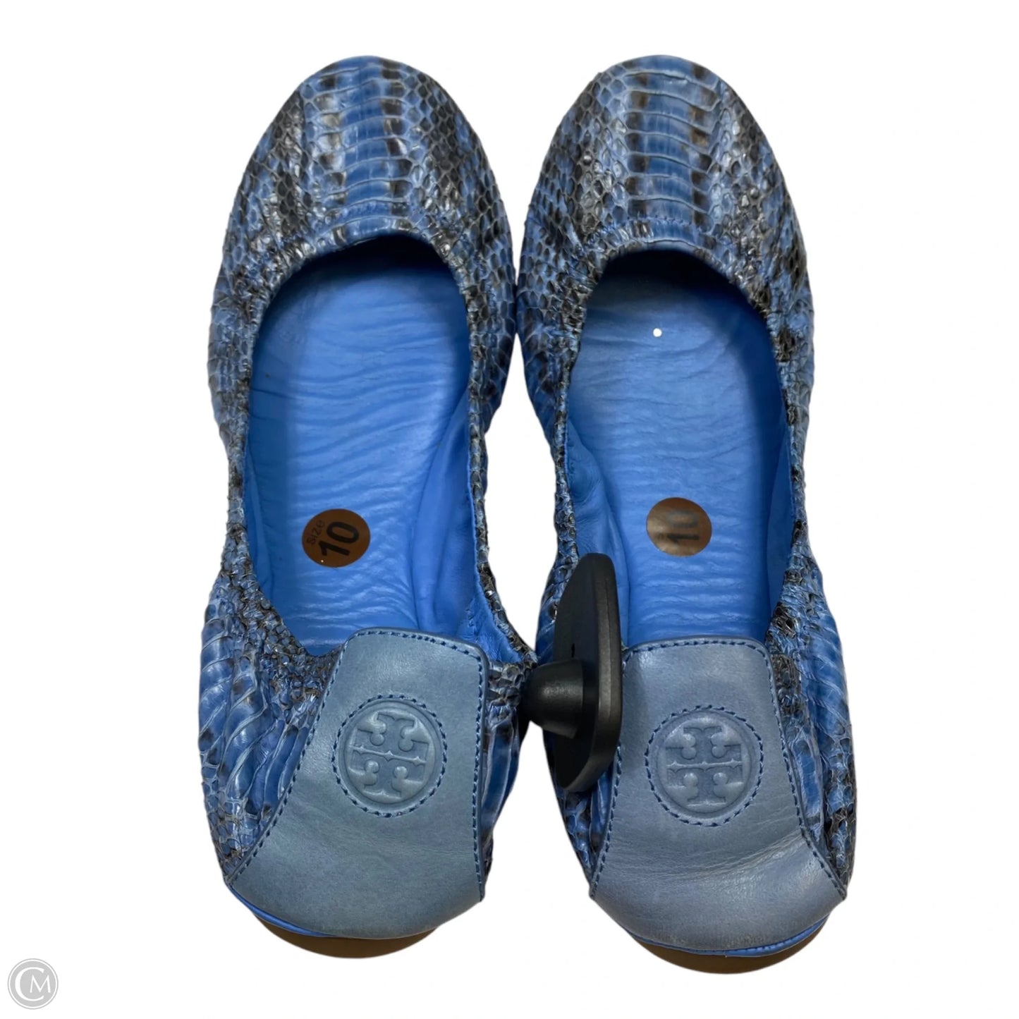 Shoes Designer By Tory Burch In Blue, Size: 10