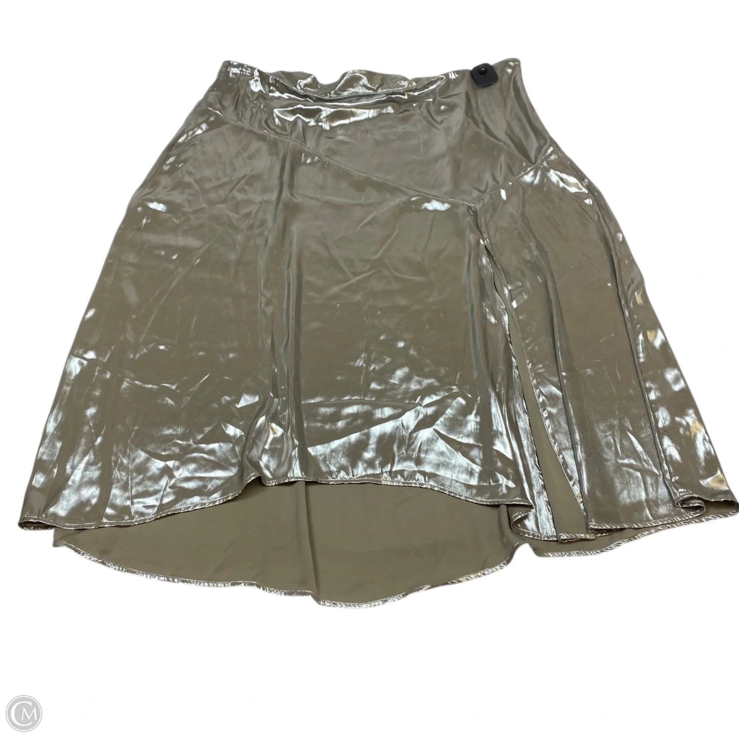 Skirt Maxi By Future Collective In Silver, Size: 2x