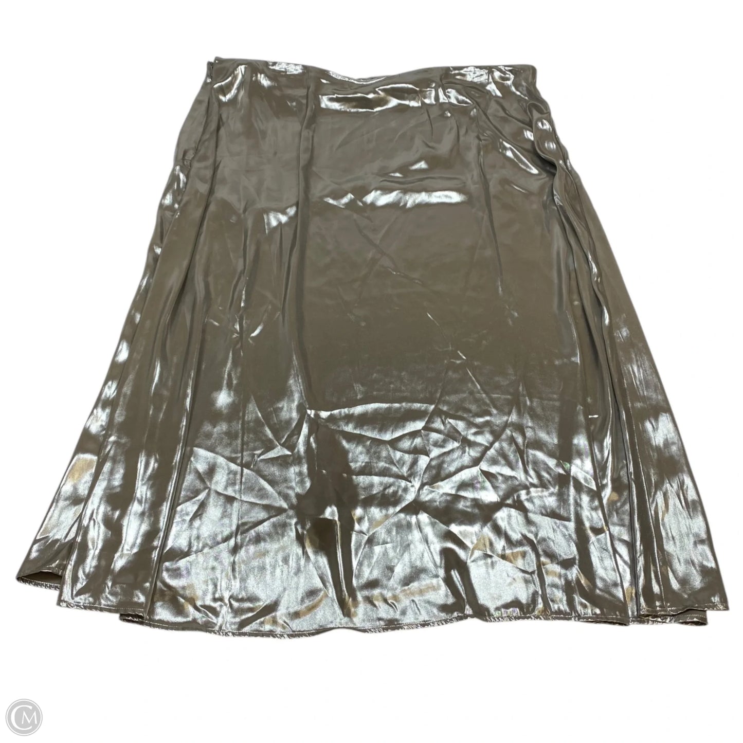 Skirt Maxi By Future Collective In Silver, Size: 2x
