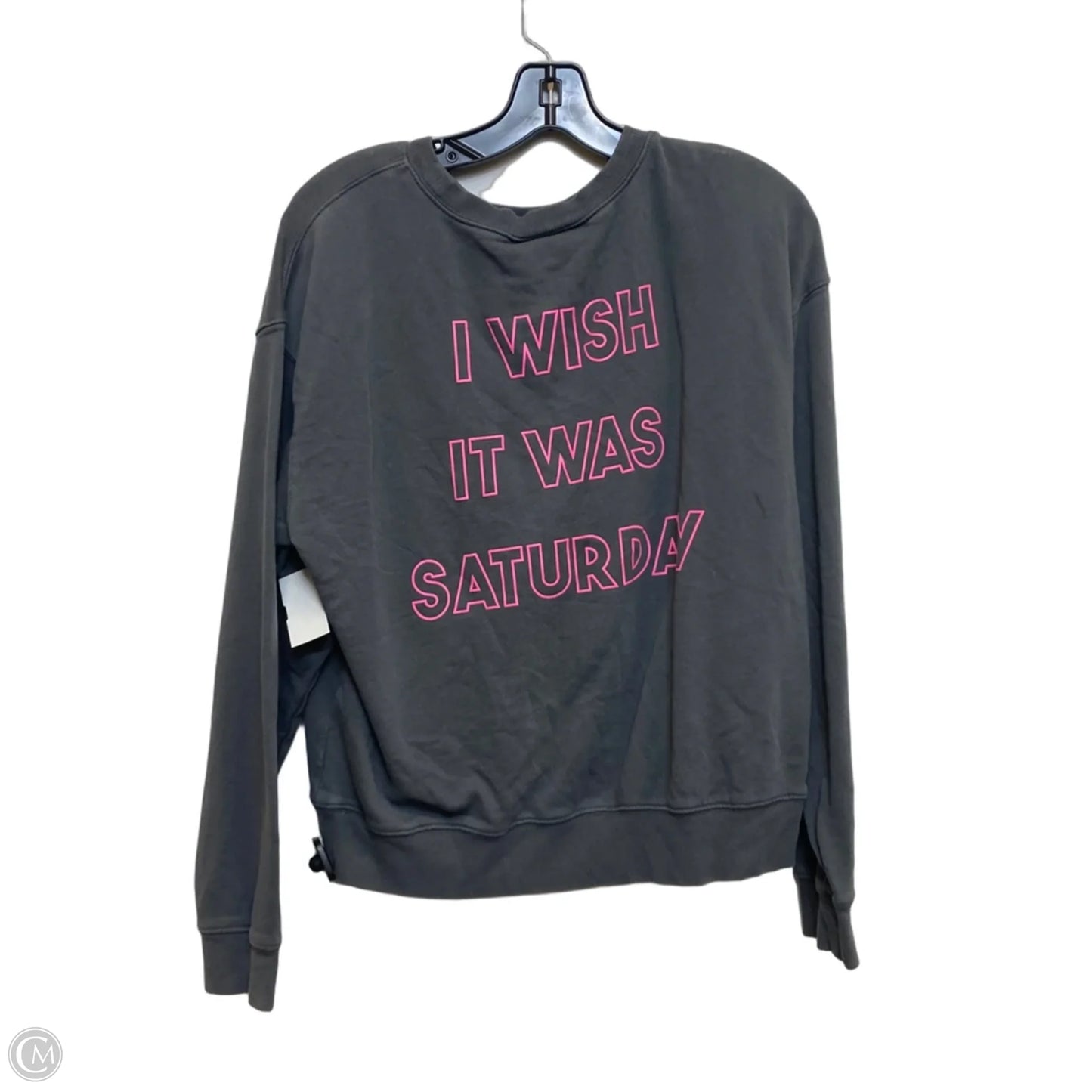 Sweatshirt Crewneck By Wildfox In Grey, Size: S