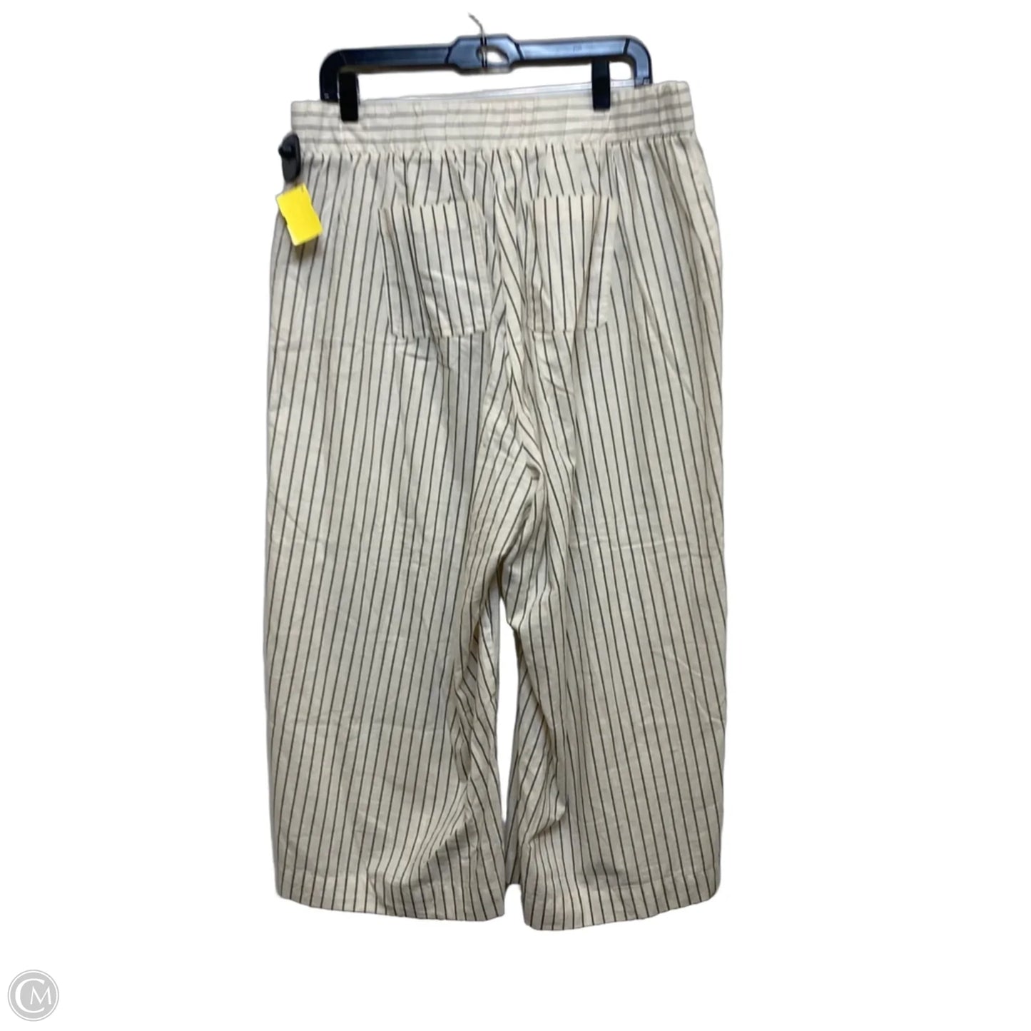 Pants Wide Leg By Torrid In White, Size: 12