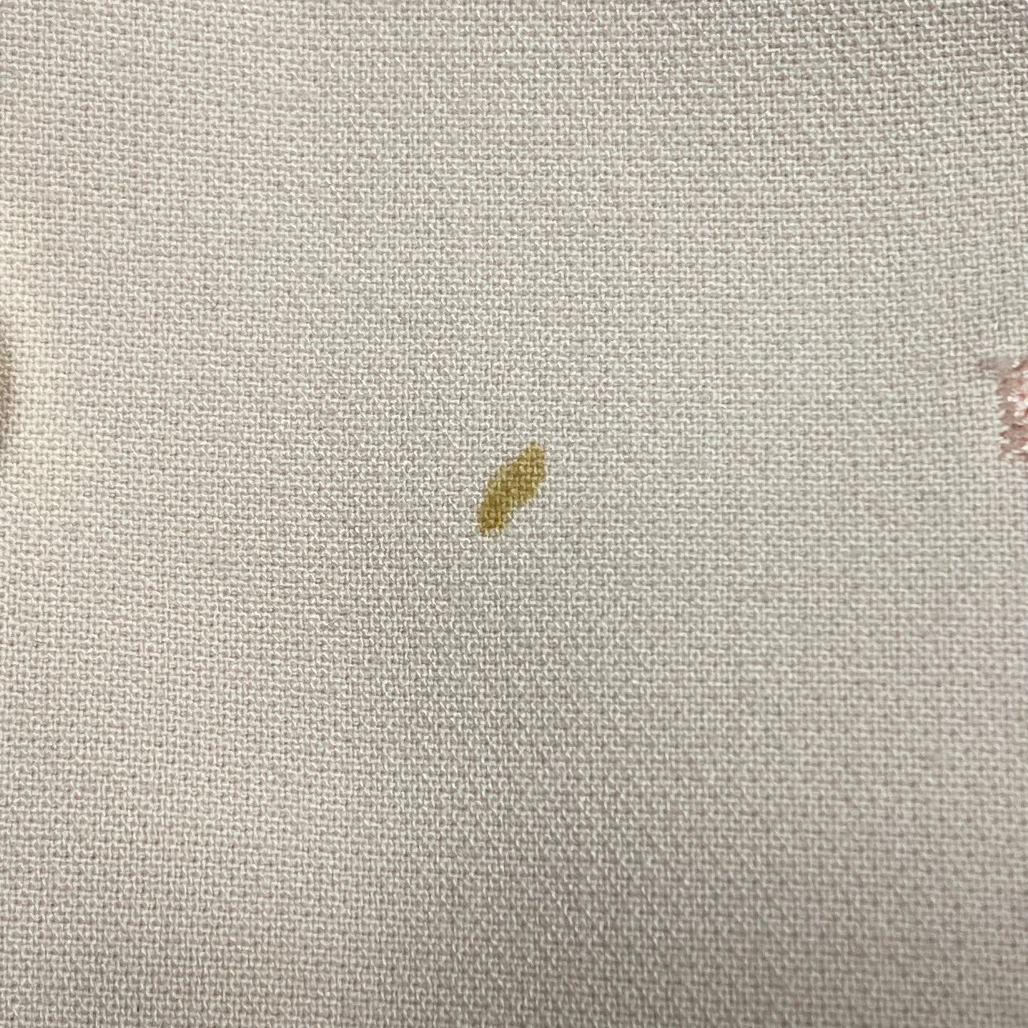 Blazer By White House Black Market In Pink, Size:M