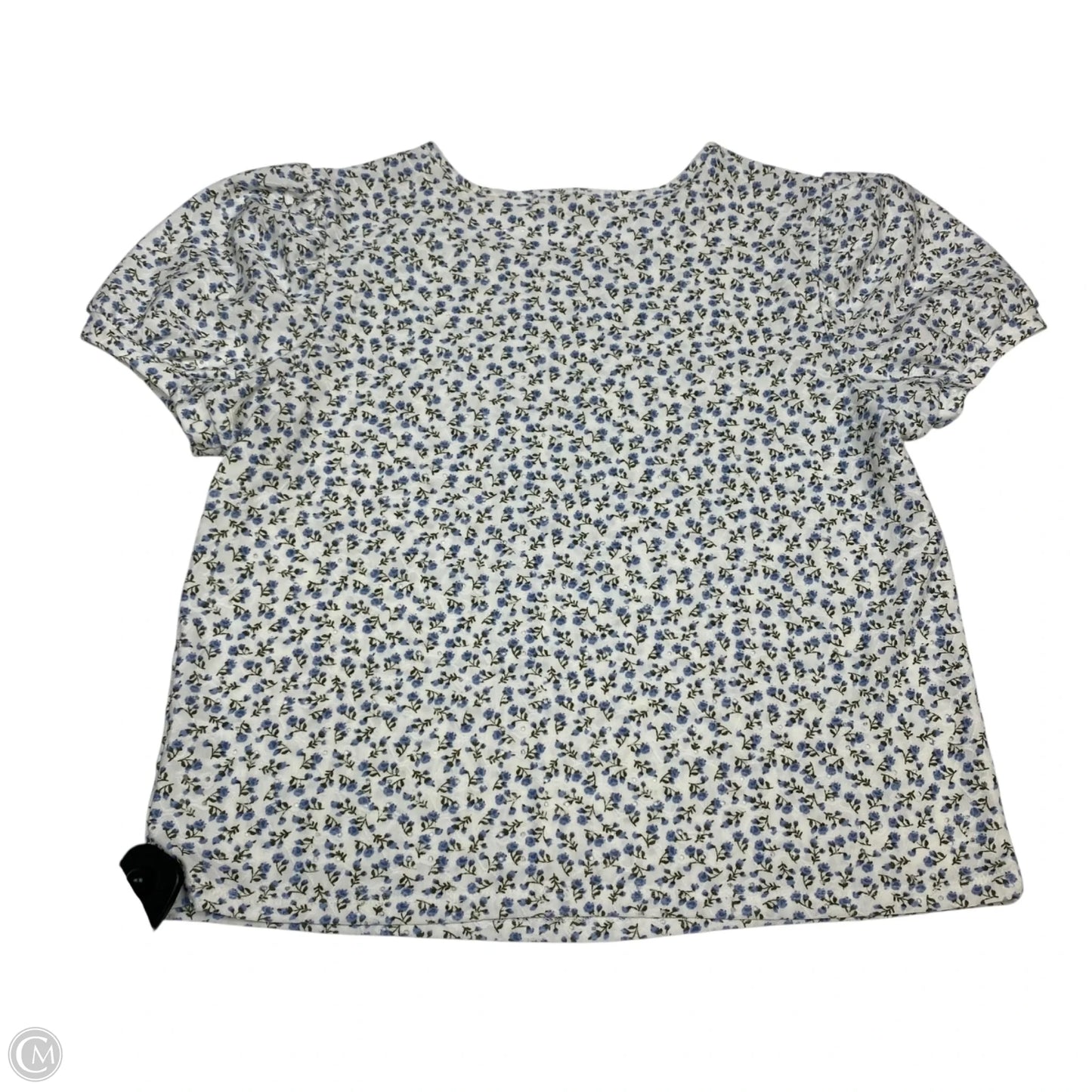 Top Short Sleeve By Wallflower In Blue, Size: L