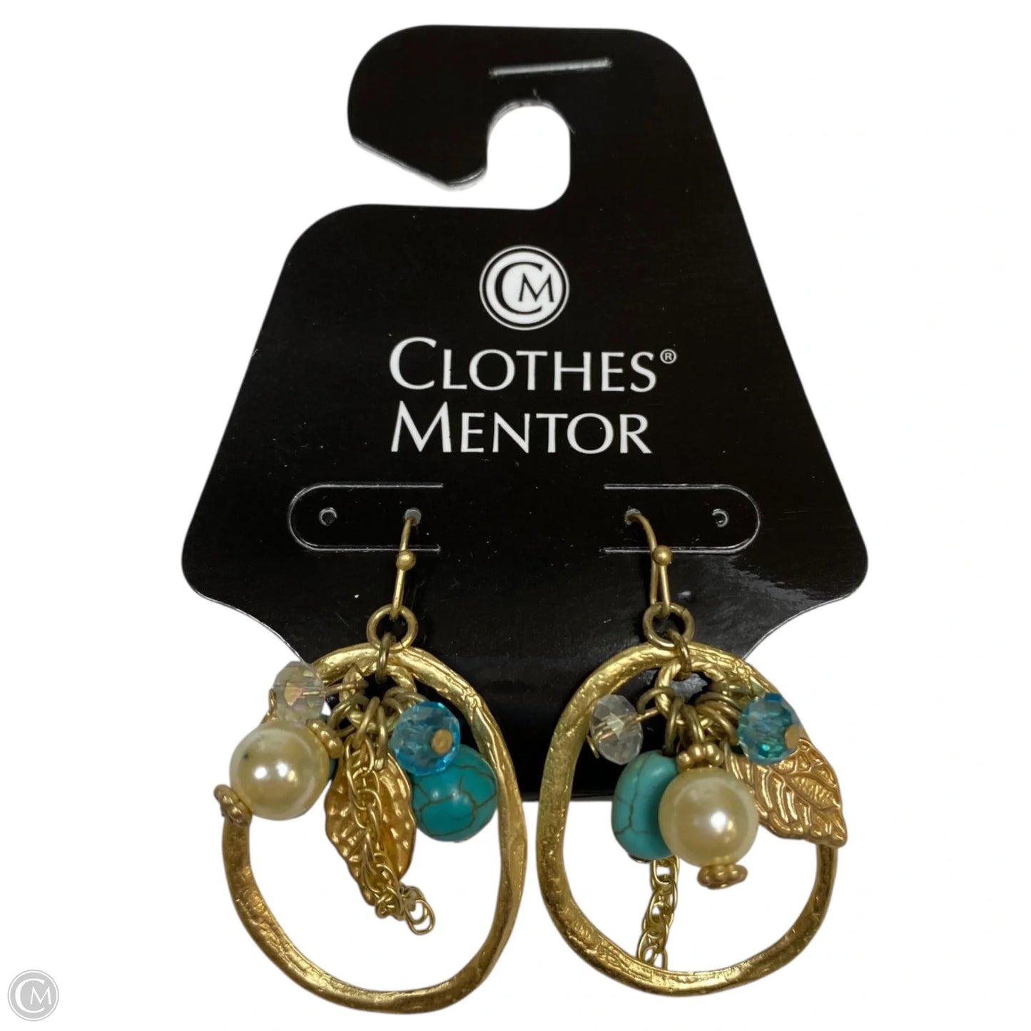 Earrings Dangle/drop By Clothes Mentor