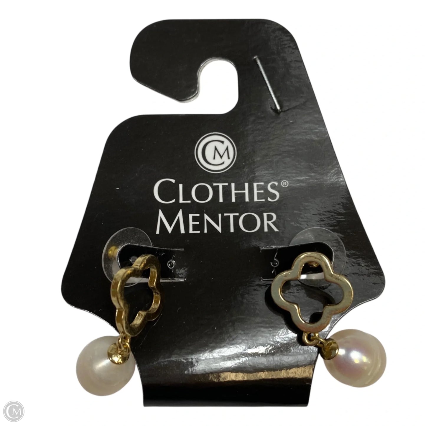 Earrings Hoop By Clothes Mentor