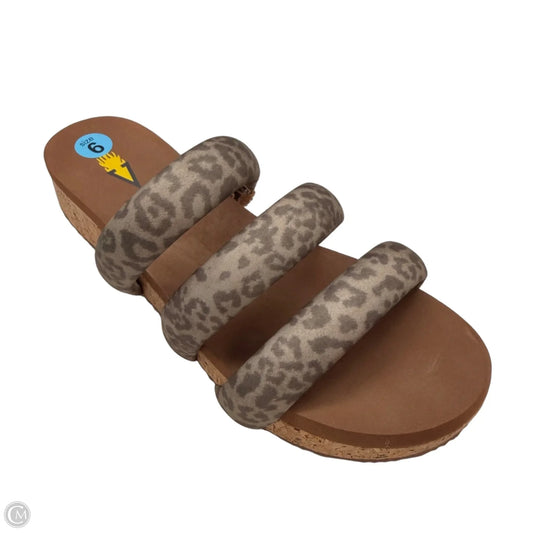 Sandals Flats By Volatile In Animal Print, Size: 6