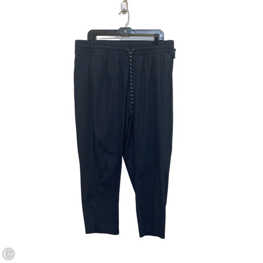 Athletic Pants By Flx In Blue, Size: Xxl