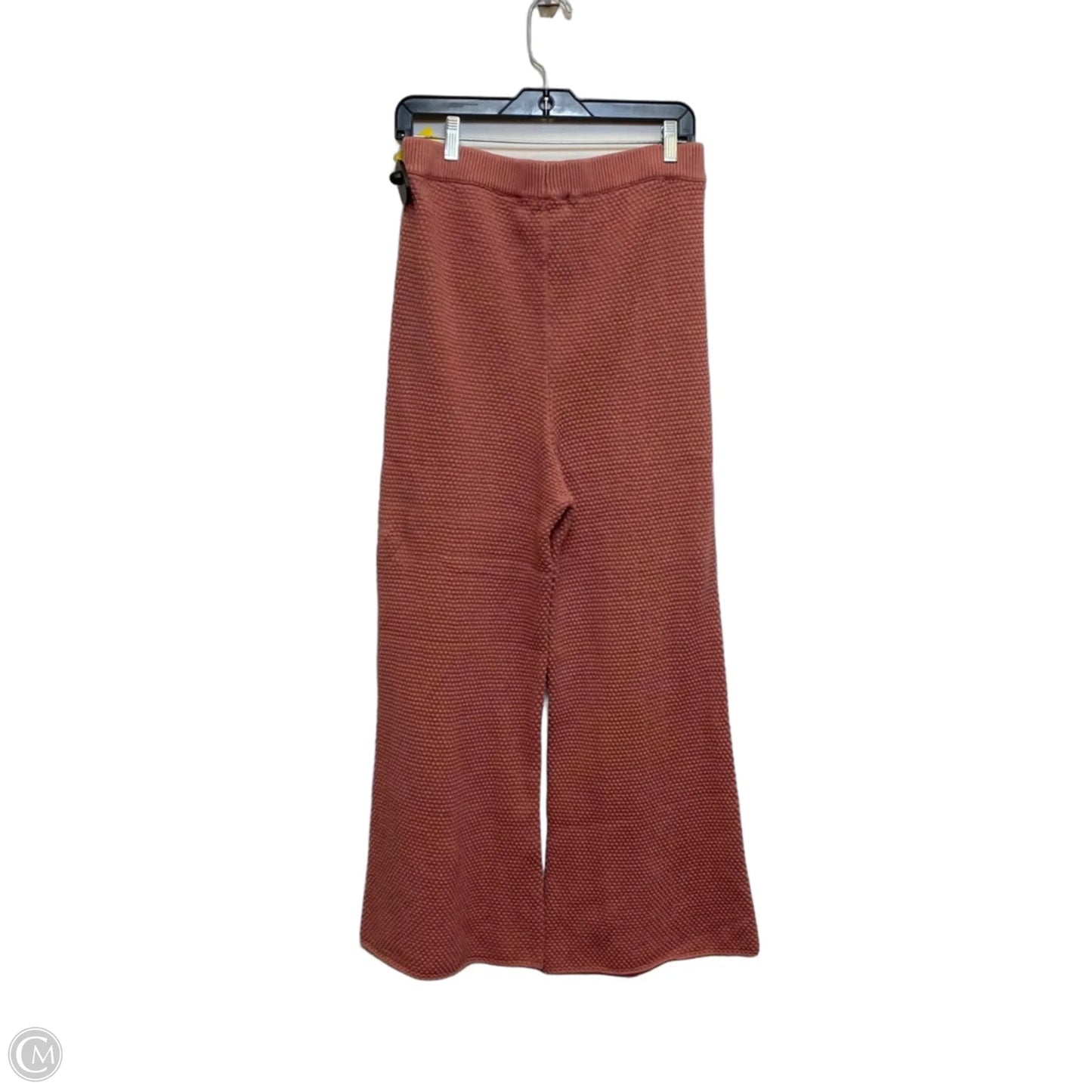 Pants Set 2pc By Free People In Pink, Size: L