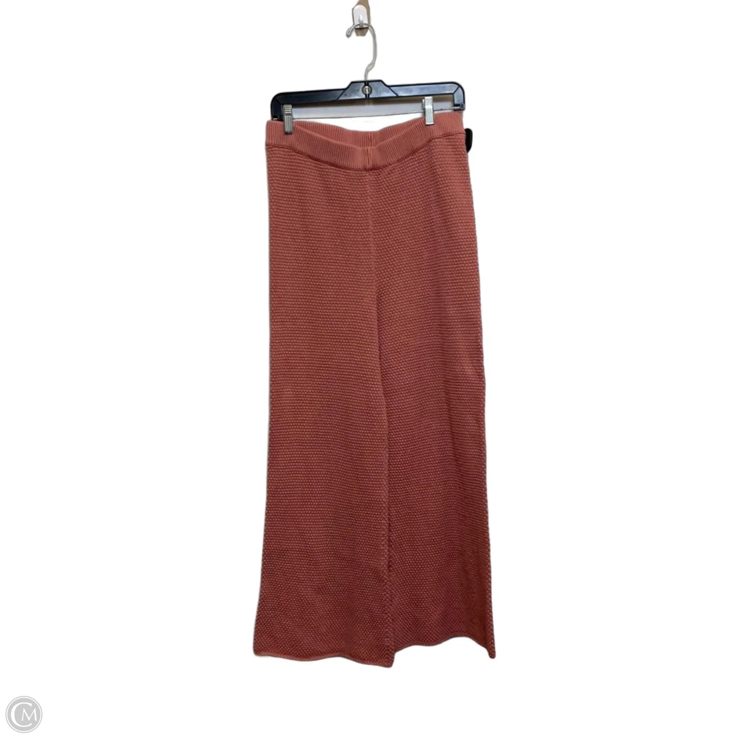 Pants Set 2pc By Free People In Pink, Size: L