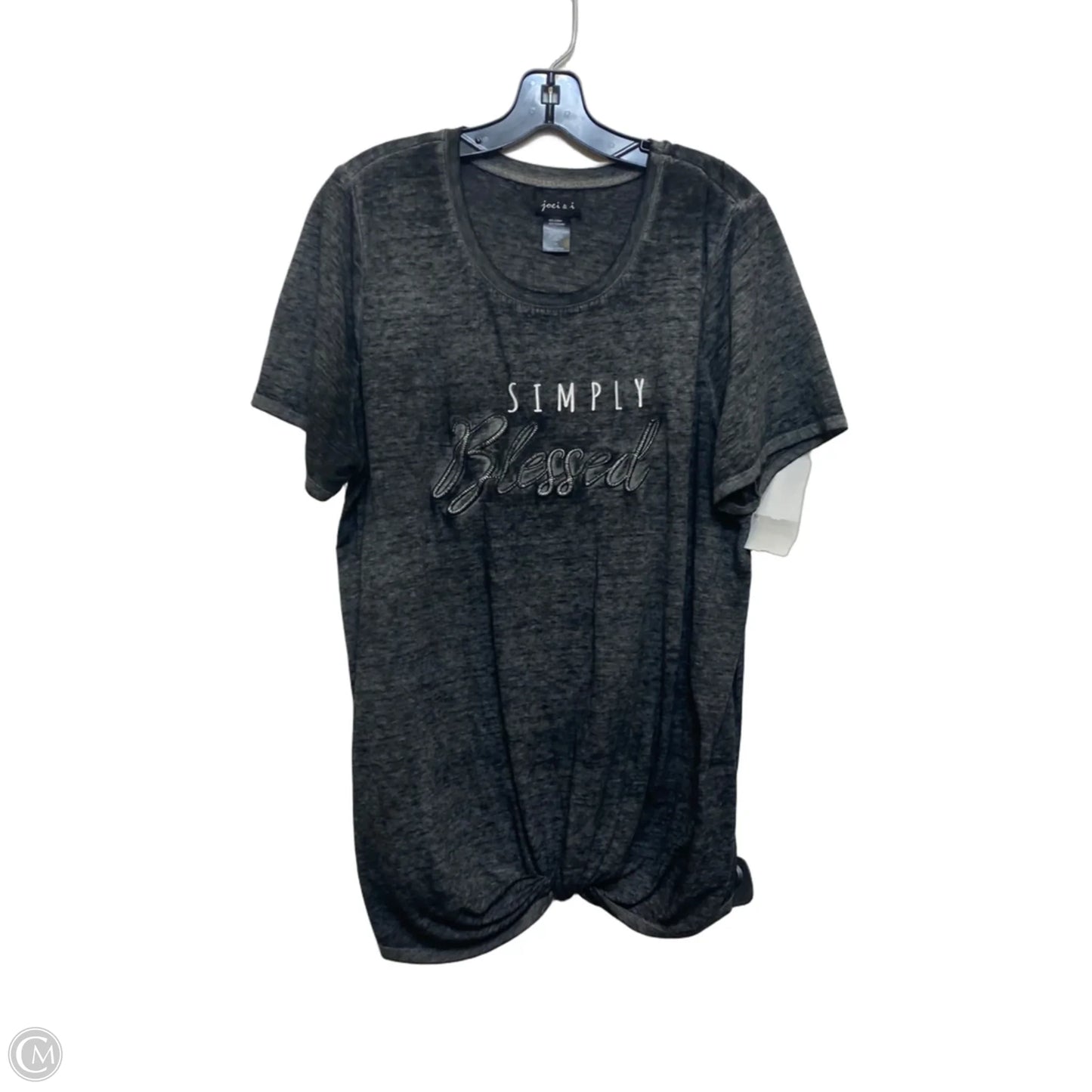 Top Short Sleeve By Joei & I In Grey, Size: 2x