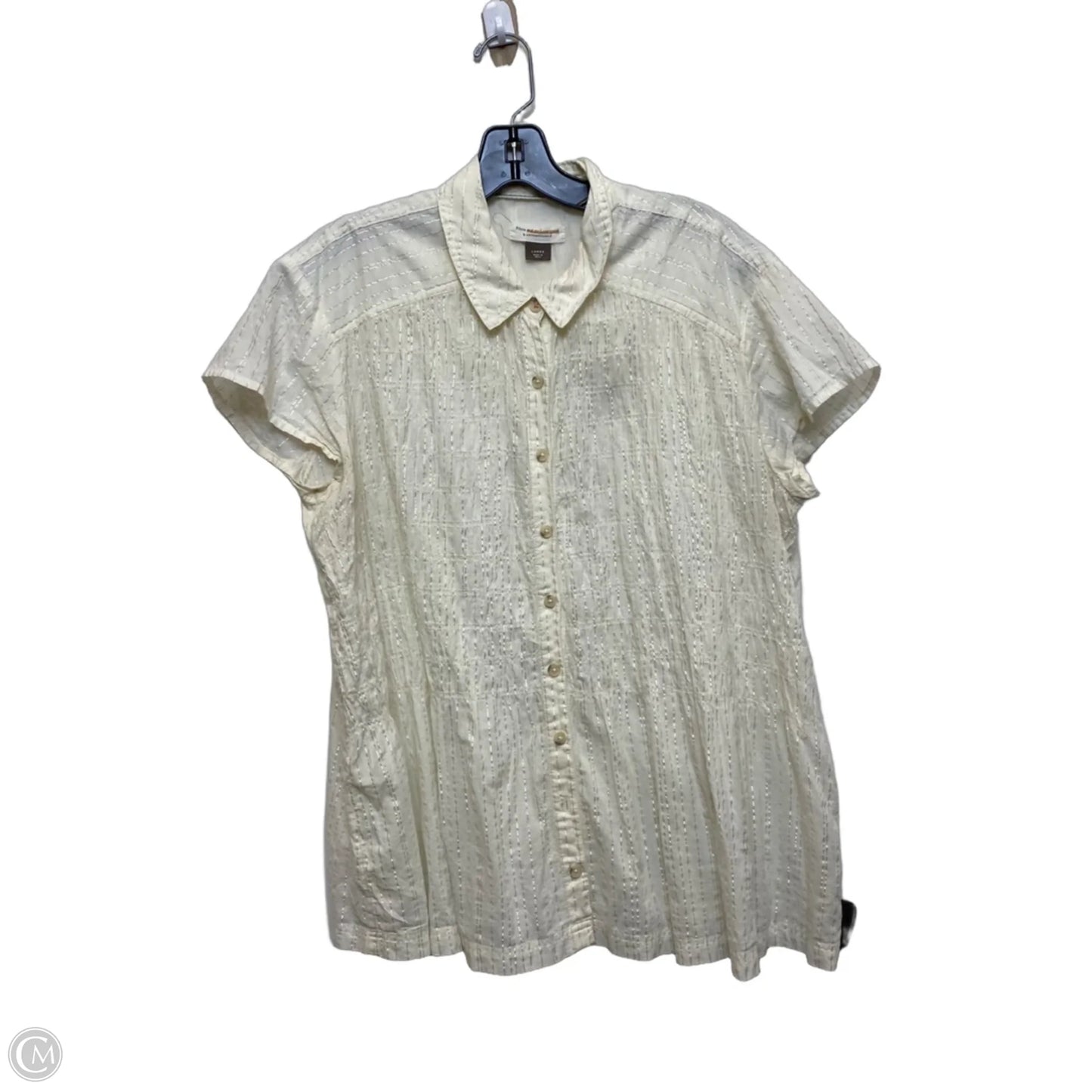 Top Short Sleeve By Pilcro In Cream, Size: L