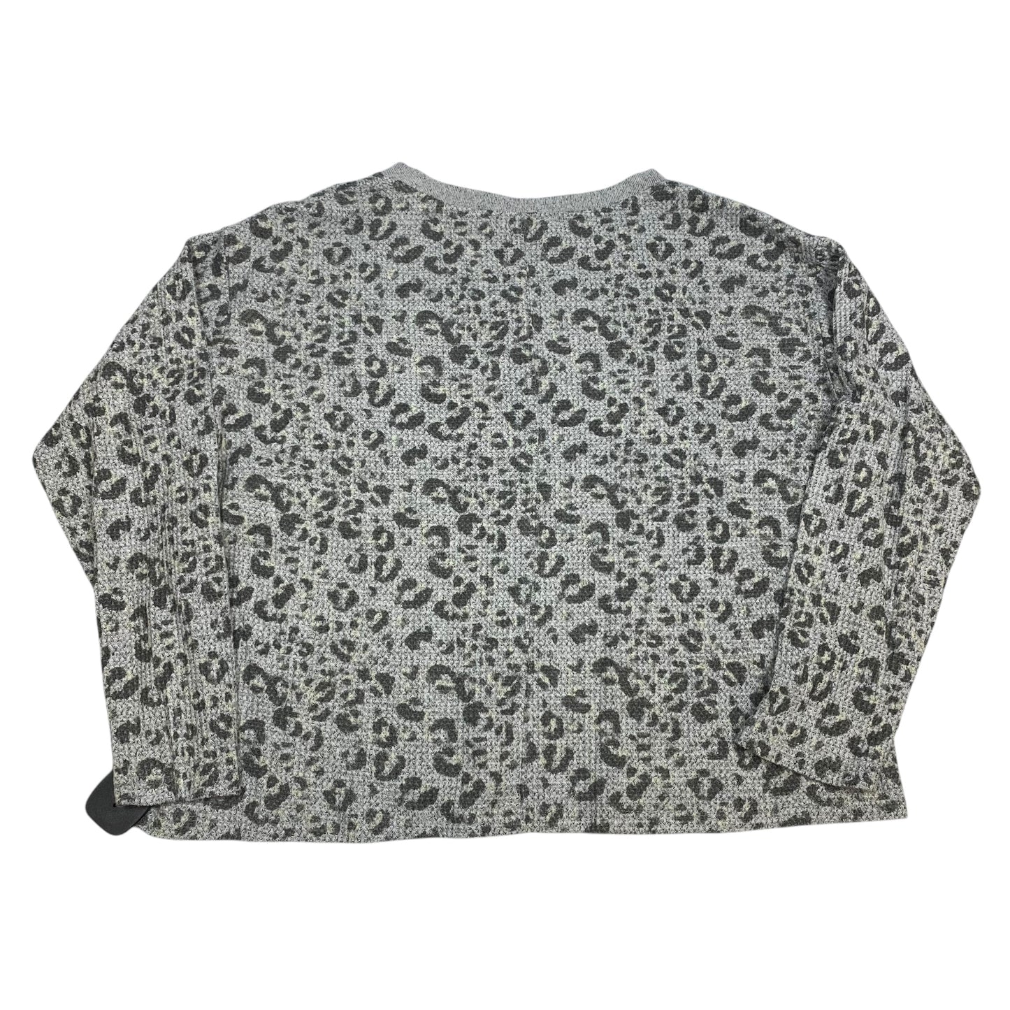 Top Long Sleeve By Papinelle In Grey, Size: L