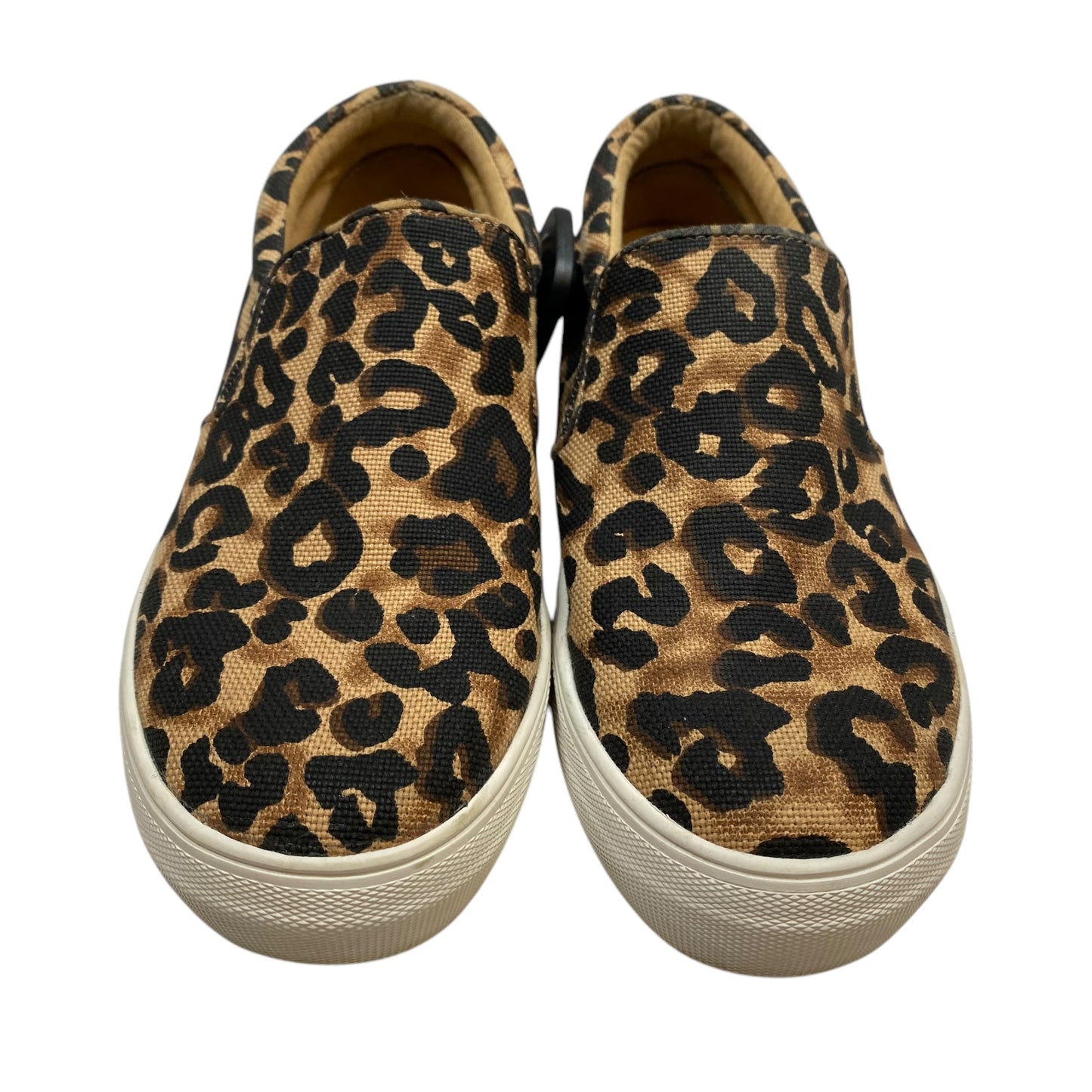 Shoes Sneakers By Steve Madden In Animal Print, Size: 8