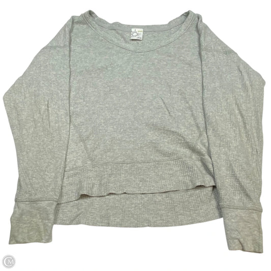 Top Long Sleeve By Aerie In Grey, Size: Xs