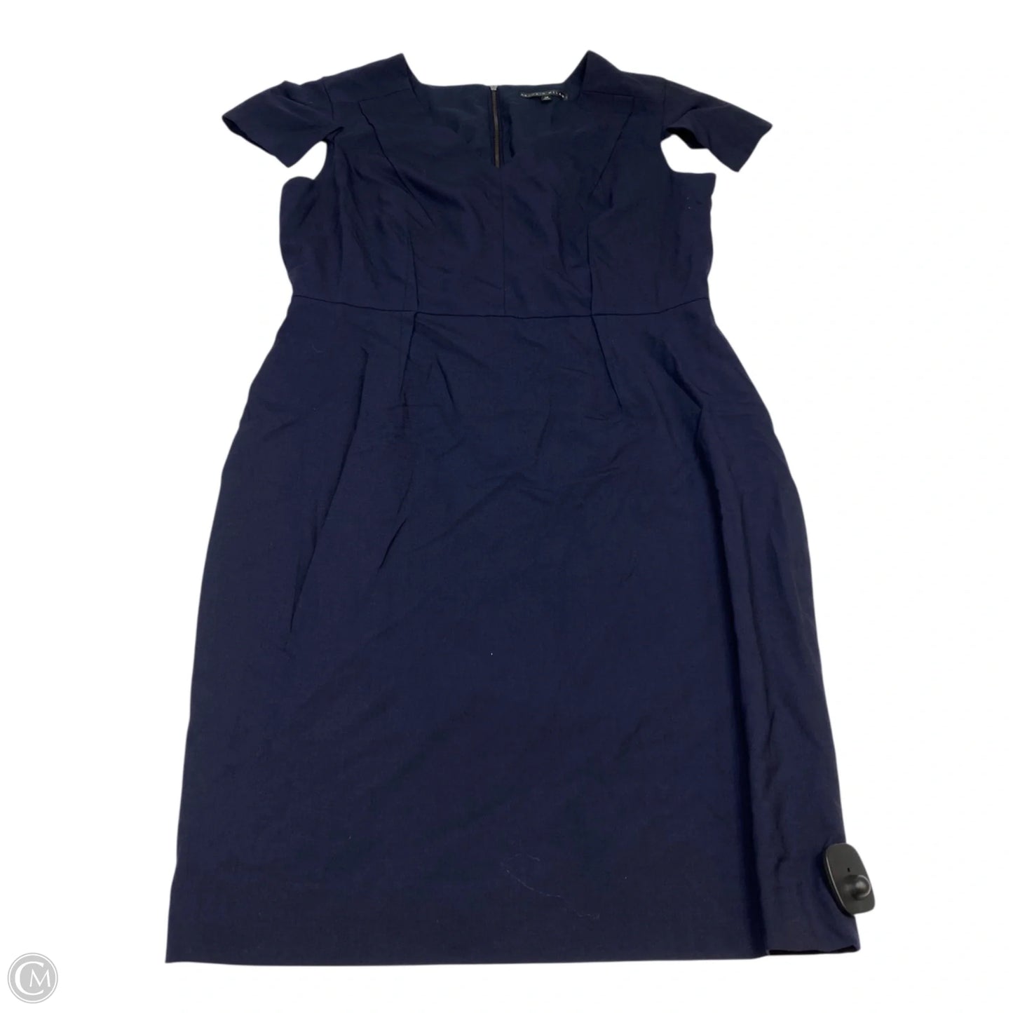 Dress Work By Antonio Melani In Blue, Size: L