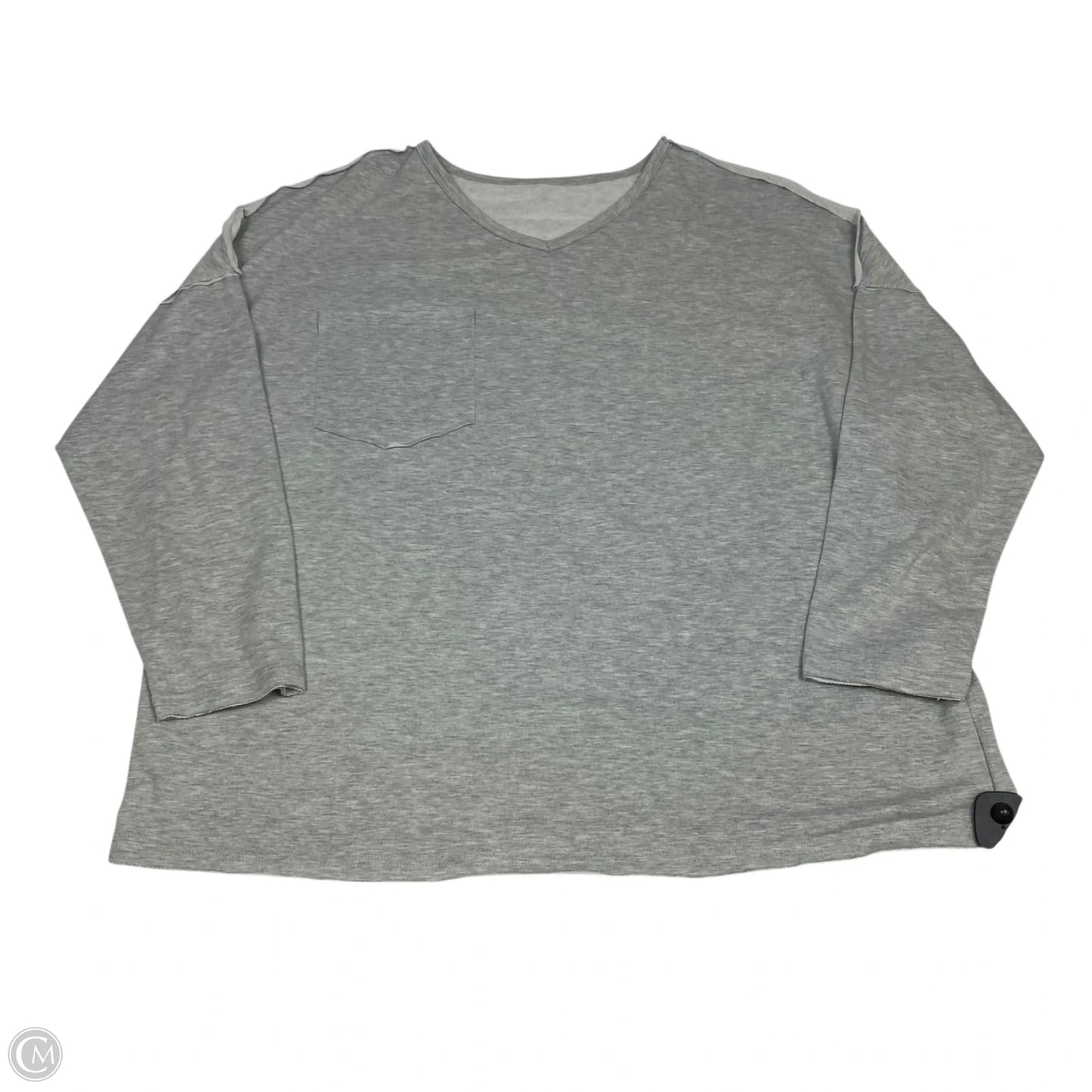 Top Long Sleeve By Clothes Mentor In Grey, Size: 2x
