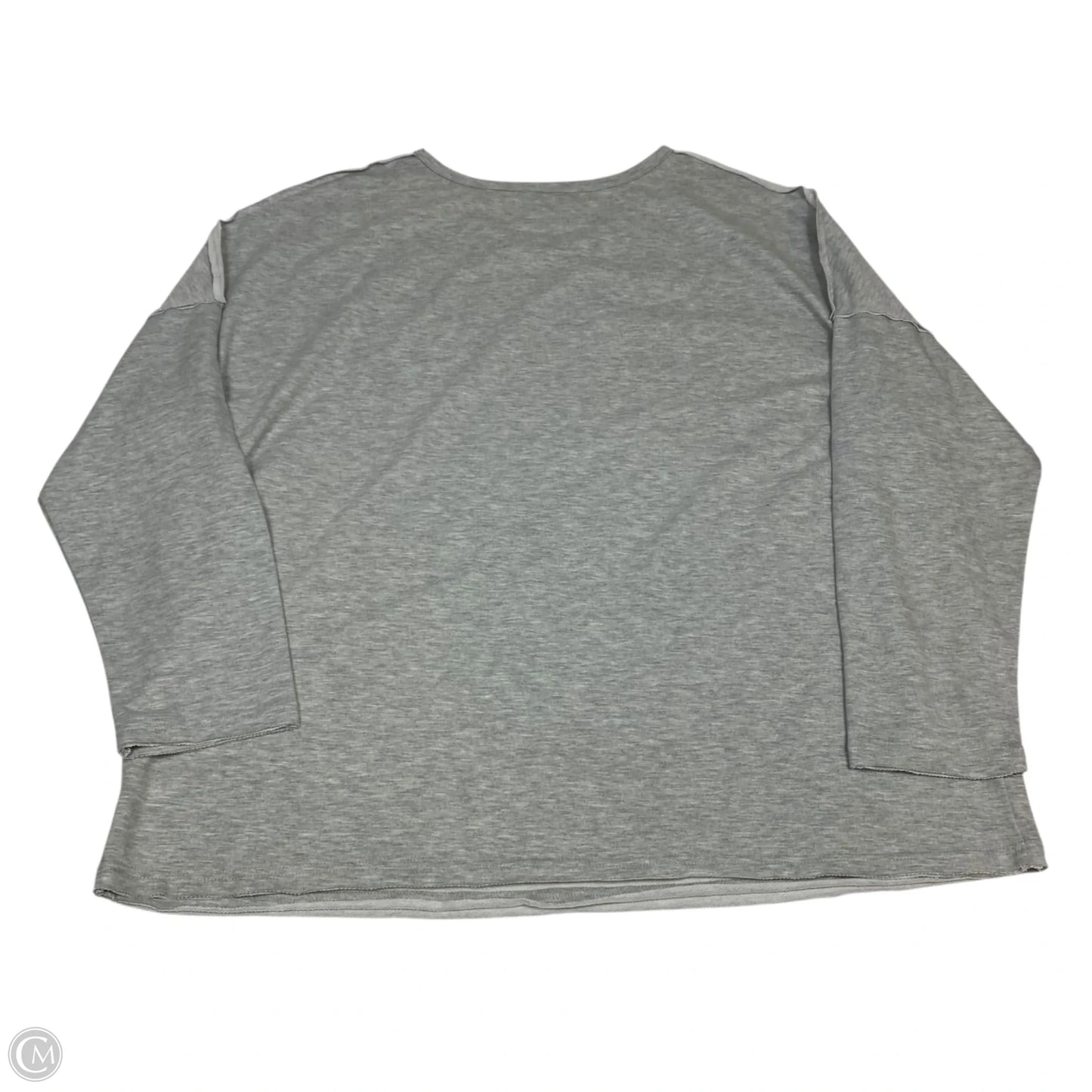 Top Long Sleeve By Clothes Mentor In Grey, Size: 2x