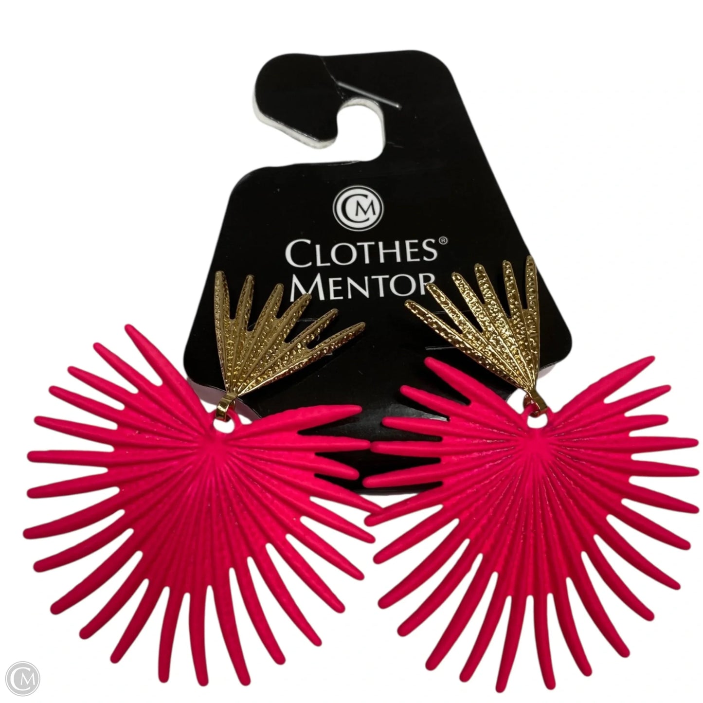 Earrings Dangle/drop By Clothes Mentor