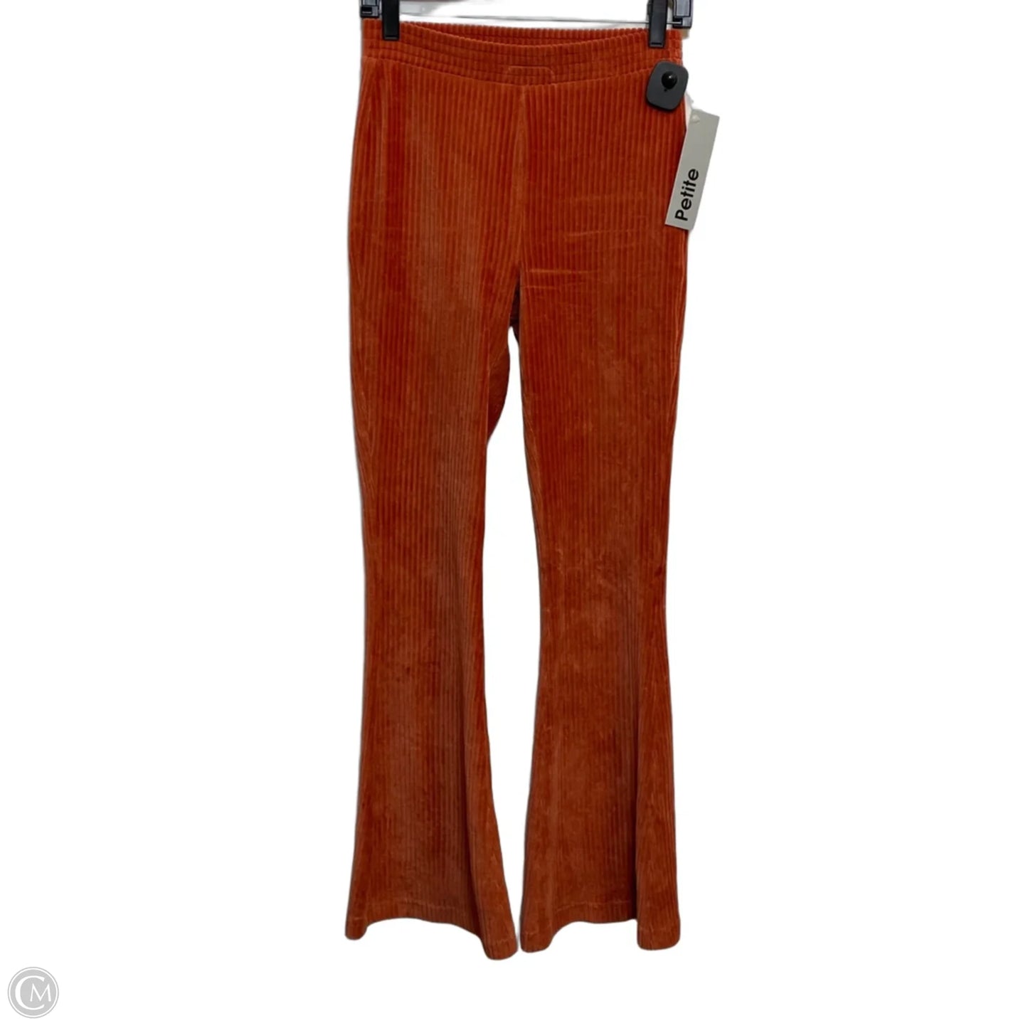 Pants Set 2pc By Aerie In Orange, Size: Sp