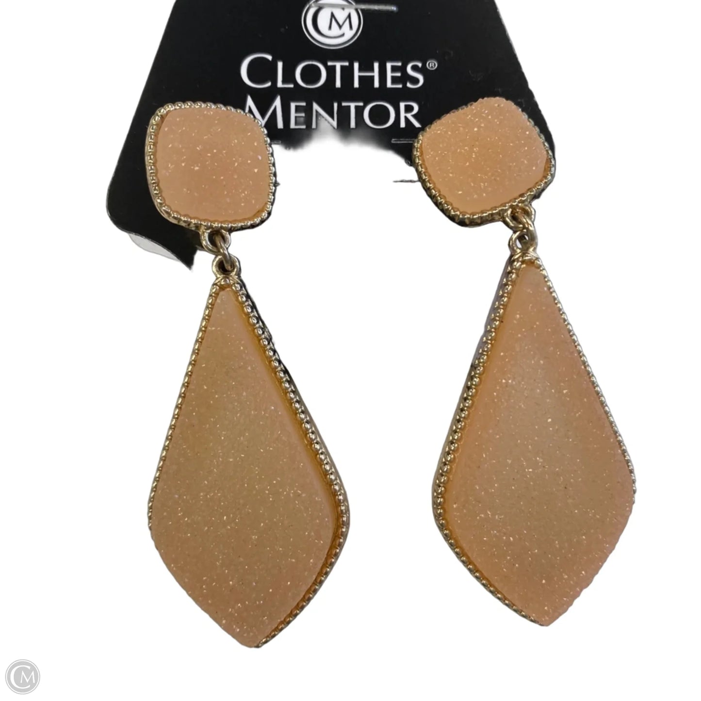 Earrings Dangle/drop By Clothes Mentor