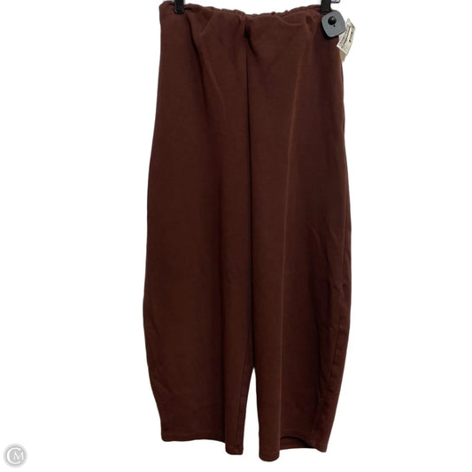 Pants Other By Zara In Brown, Size: S
