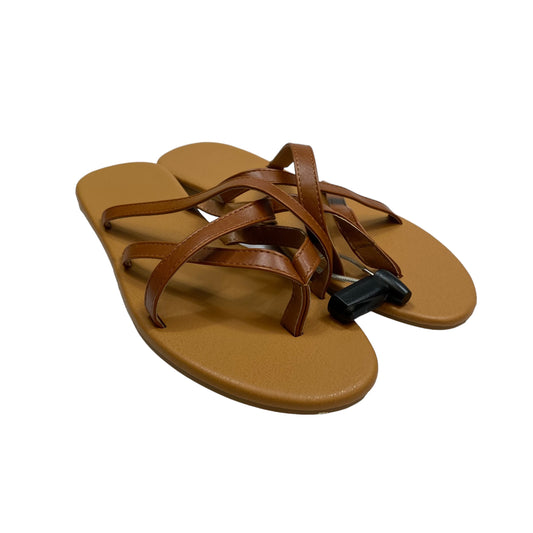 Brown Sandals Flip Flops Clothes Mentor, Size 12.5