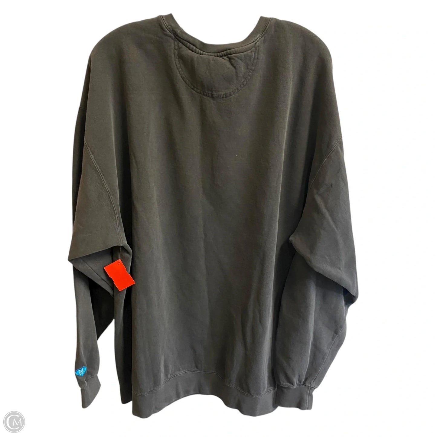 Sweatshirt Crewneck By Comfort Colors In Grey, Size: 3x