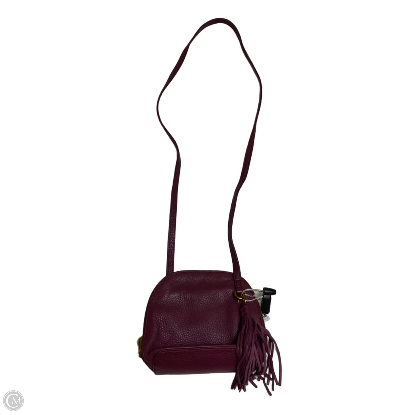 Crossbody Designer By Hobo Intl, Size: Small