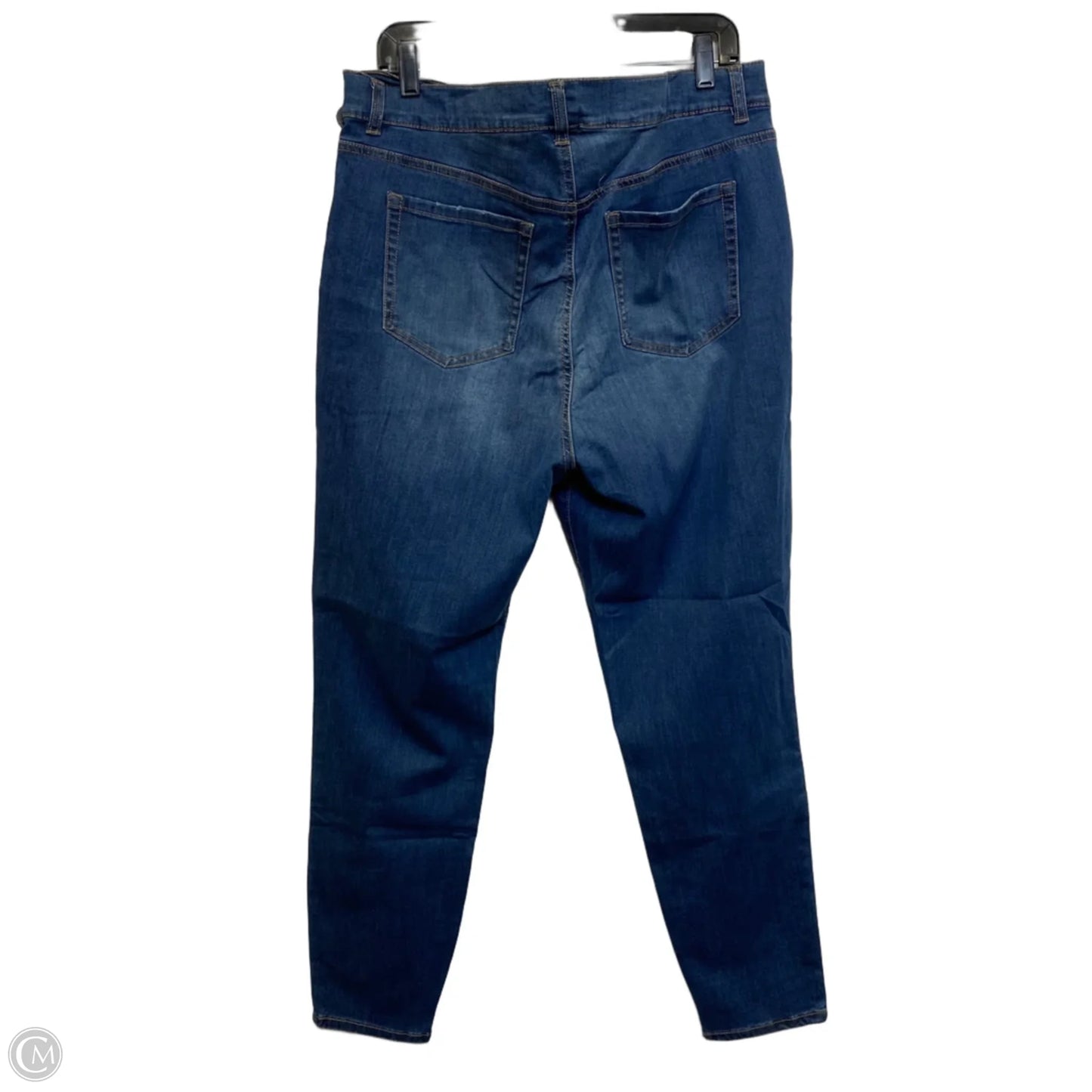 Jeans Skinny By Terra & Sky In Blue Denim, Size: 18