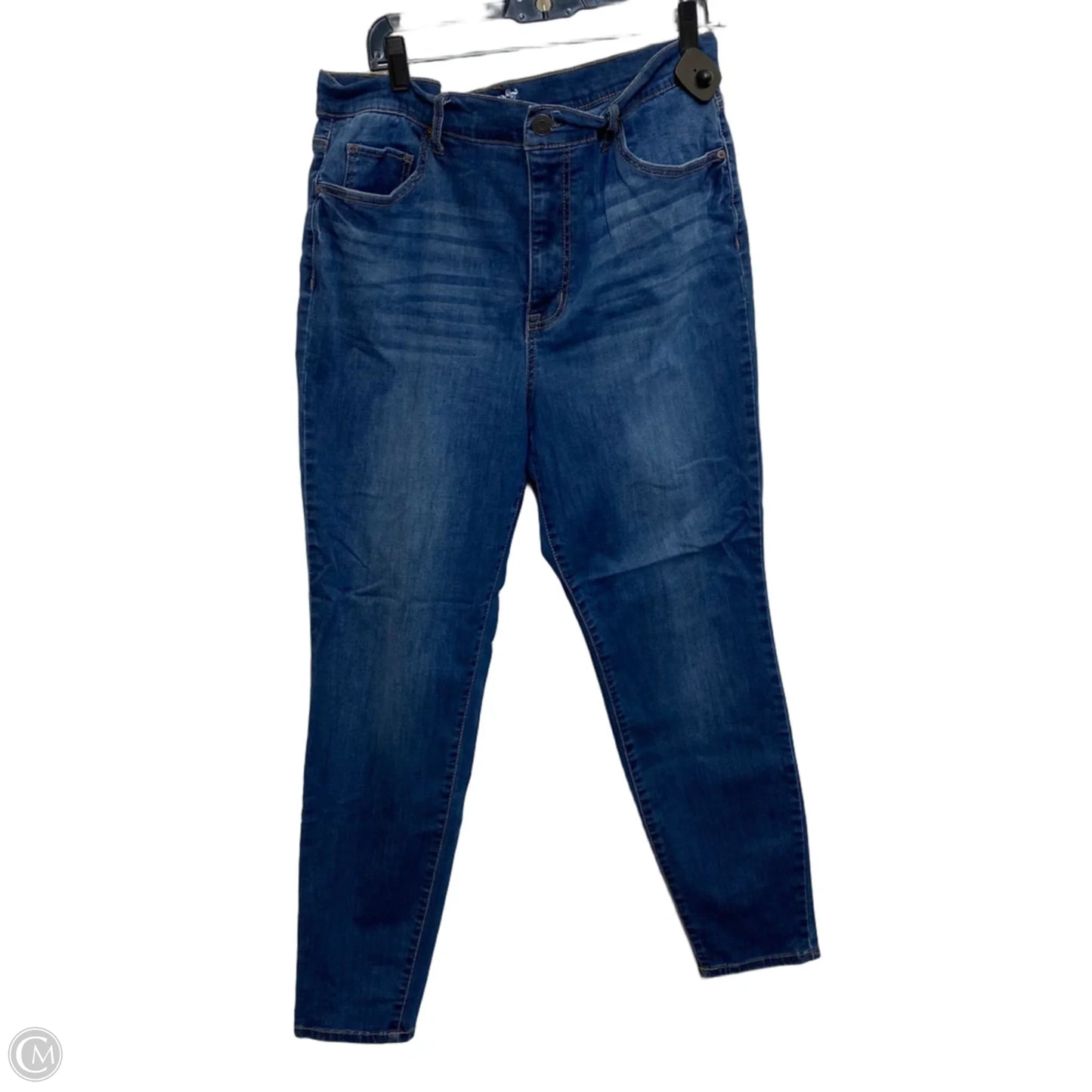 Jeans Skinny By Terra & Sky In Blue Denim, Size: 18