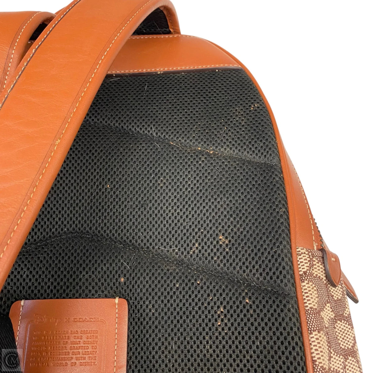 Backpack Designer By Coach, Size: Large