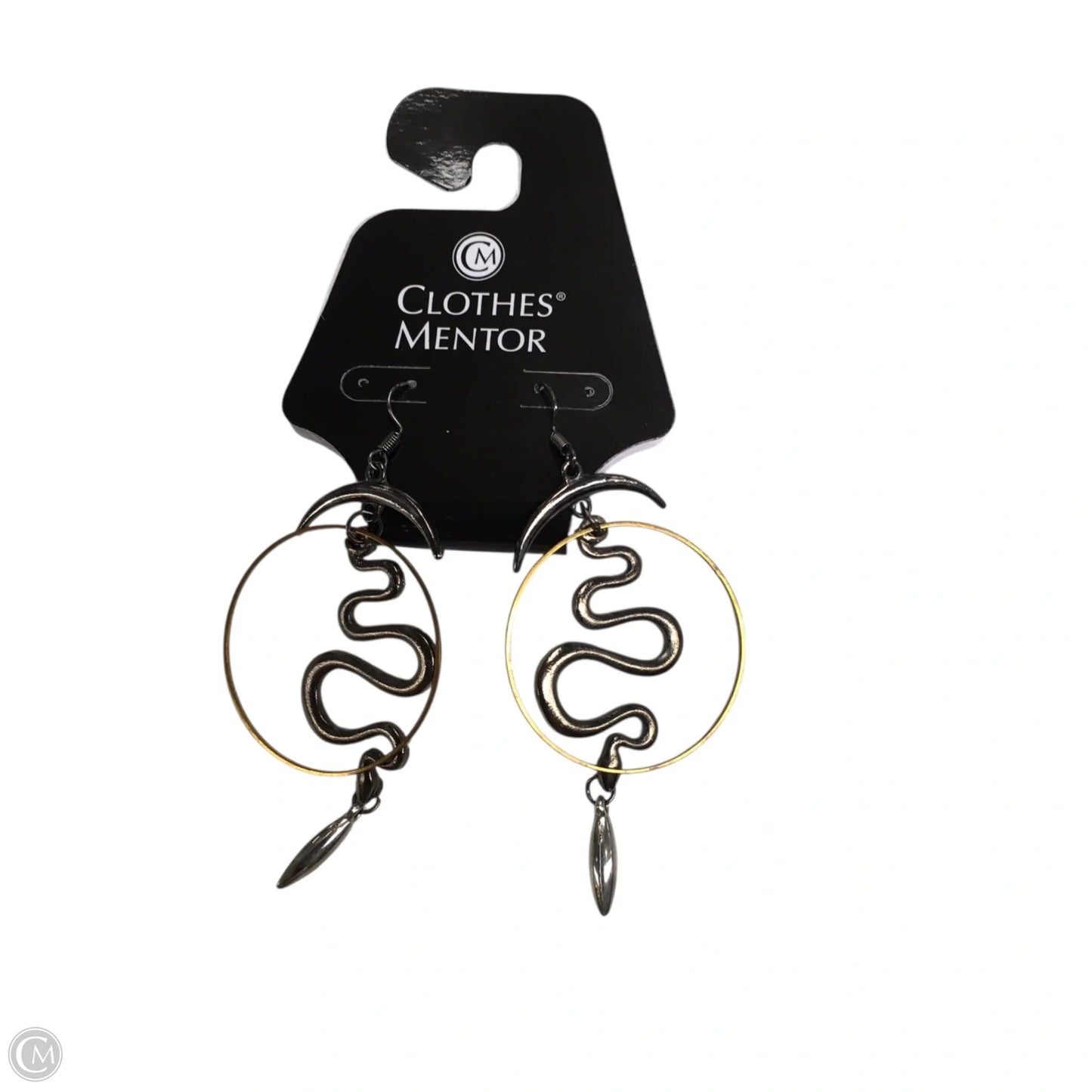 Earrings Dangle/drop By Chicos