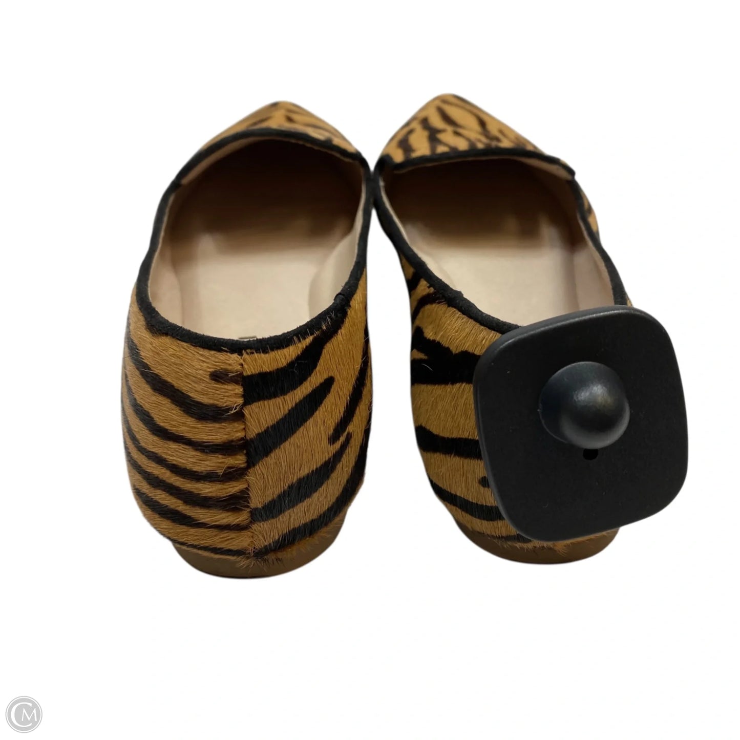 Shoes Flats By Gianni Bini In Brown, Size: 5.5