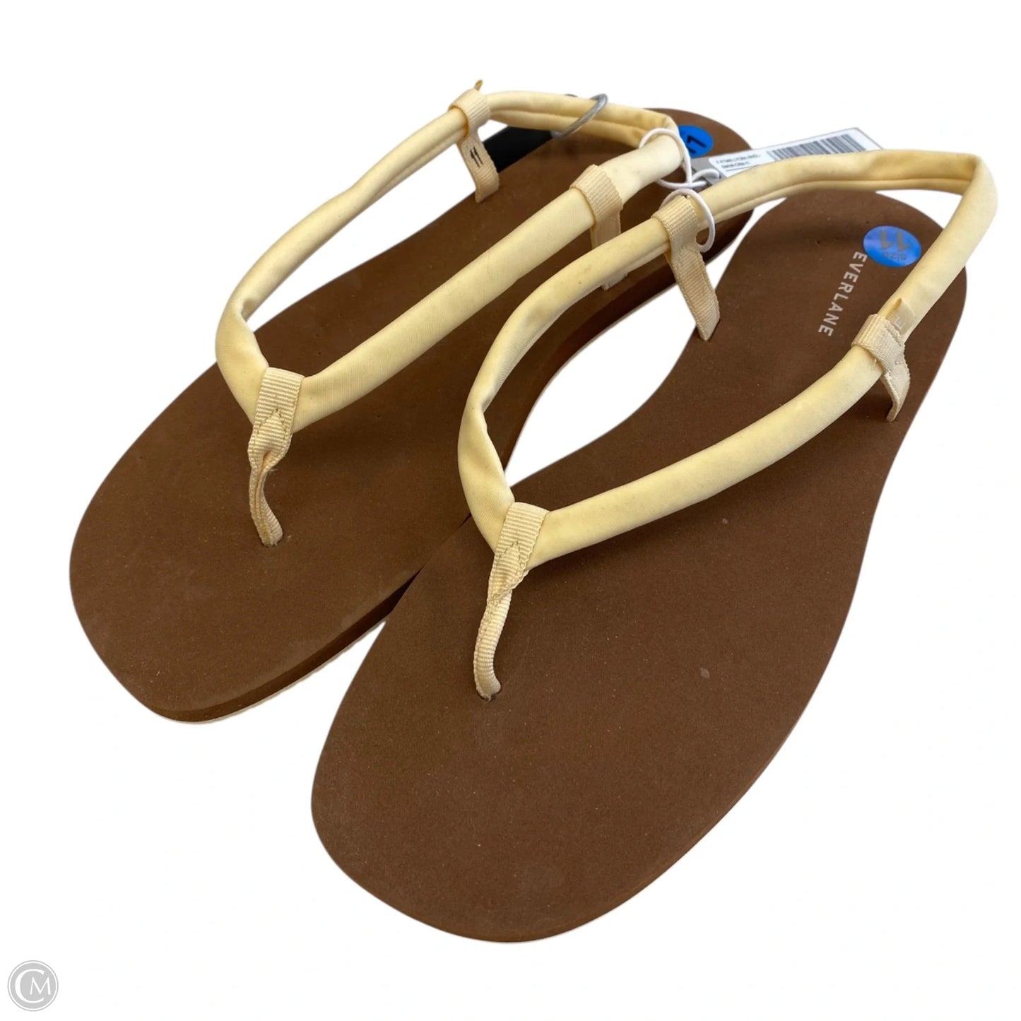 Sandals Flip Flops By Everlane In Yellow, Size: 11