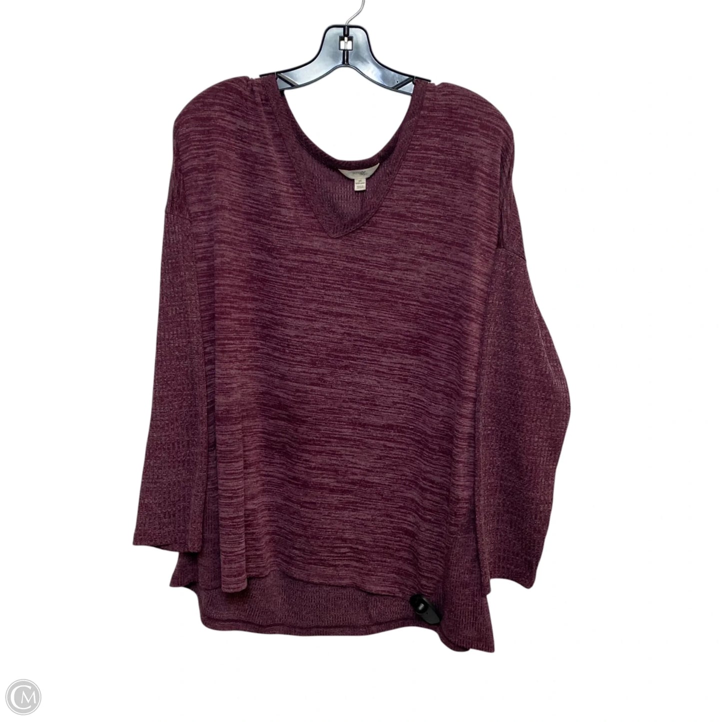 Top Long Sleeve By Terra & Sky In Purple, Size: 2x