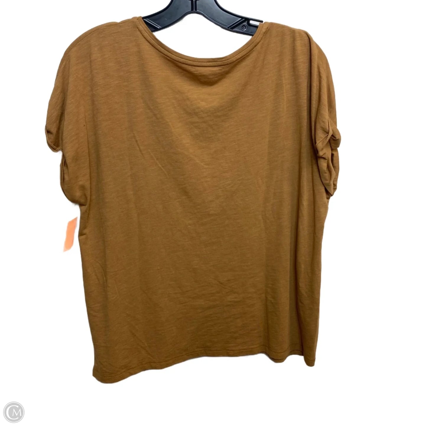 Top Short Sleeve Basic By Max Studio In Brown, Size: Xl