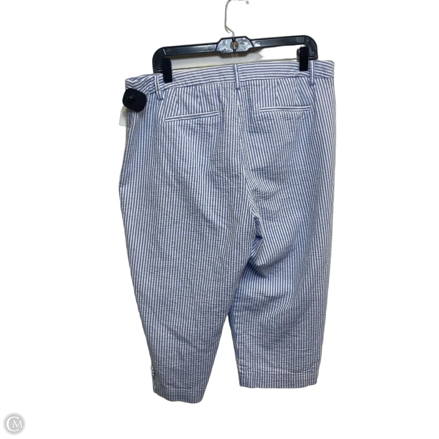 Capris By Talbots In Blue & White, Size: 14p