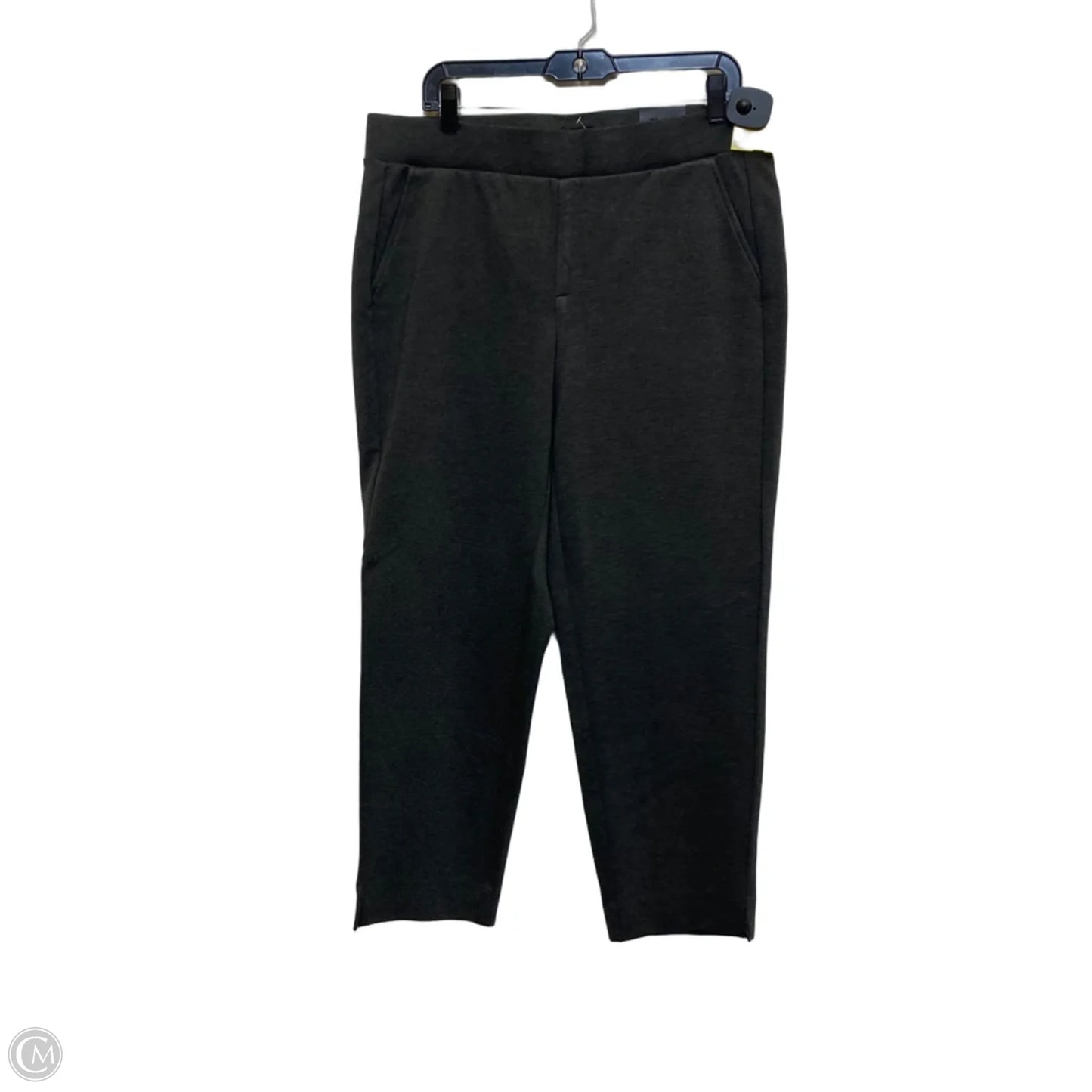 Pants Set 2pc By Torrid In Grey, Size: 1x