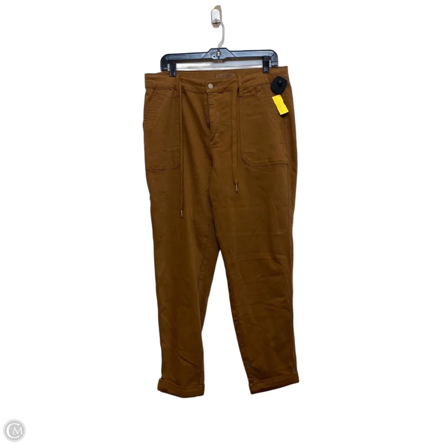 Jeans Skinny By Judy Blue In Brown, Size: 14