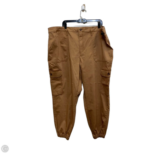 Pants Cargo & Utility By Terra & Sky In Brown, Size: 24