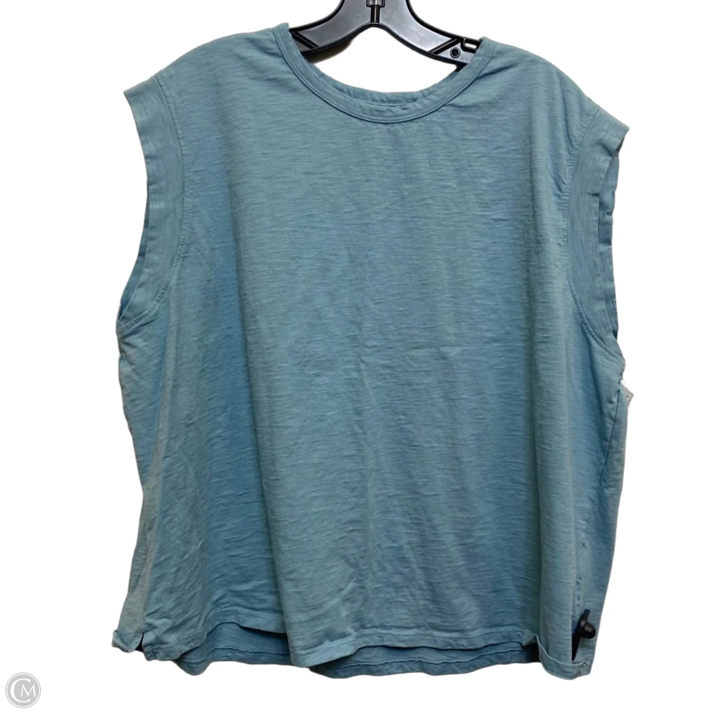 Top Sleeveless By Time And Tru In Blue, Size: 2x