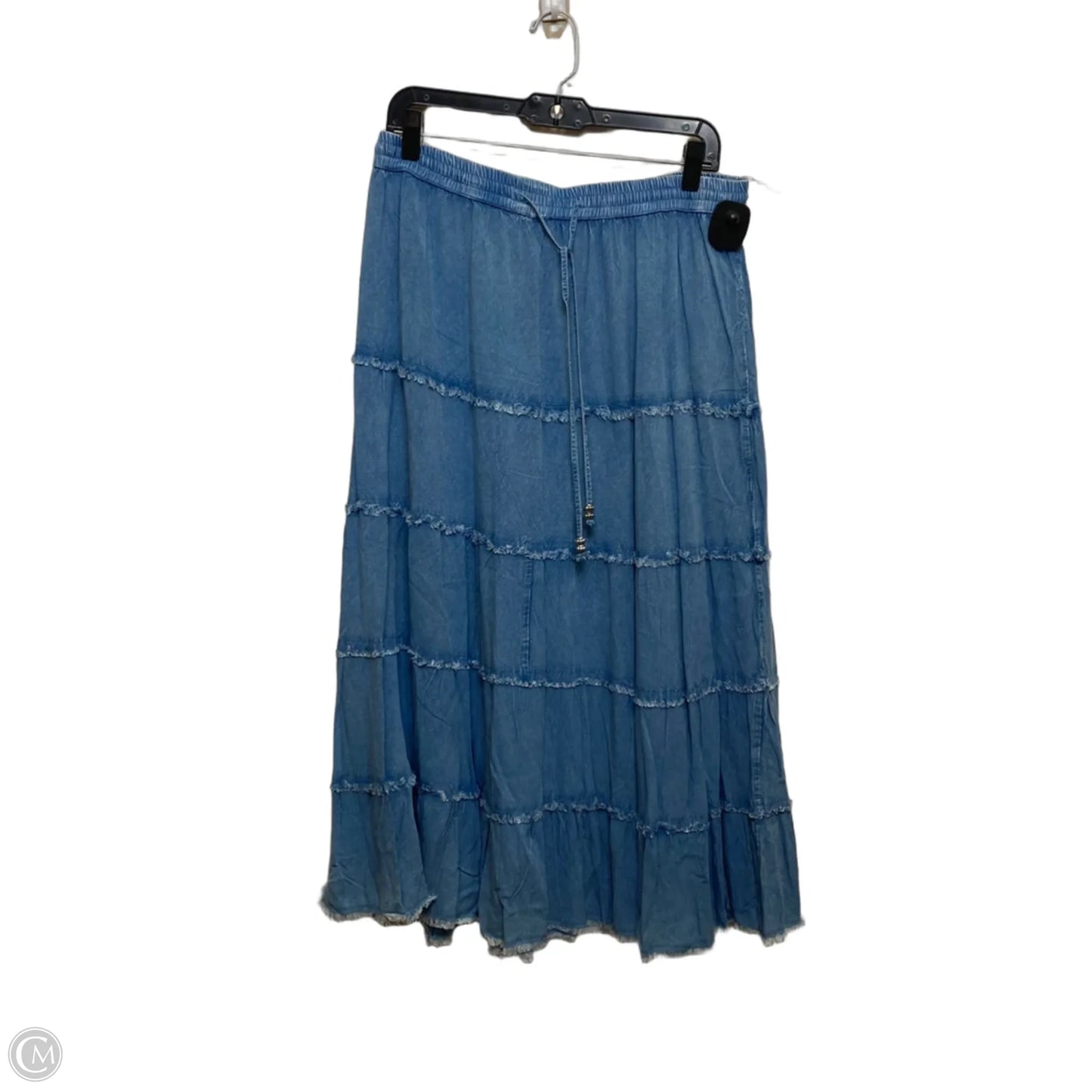 Skirt Maxi By Cato In Blue, Size: L