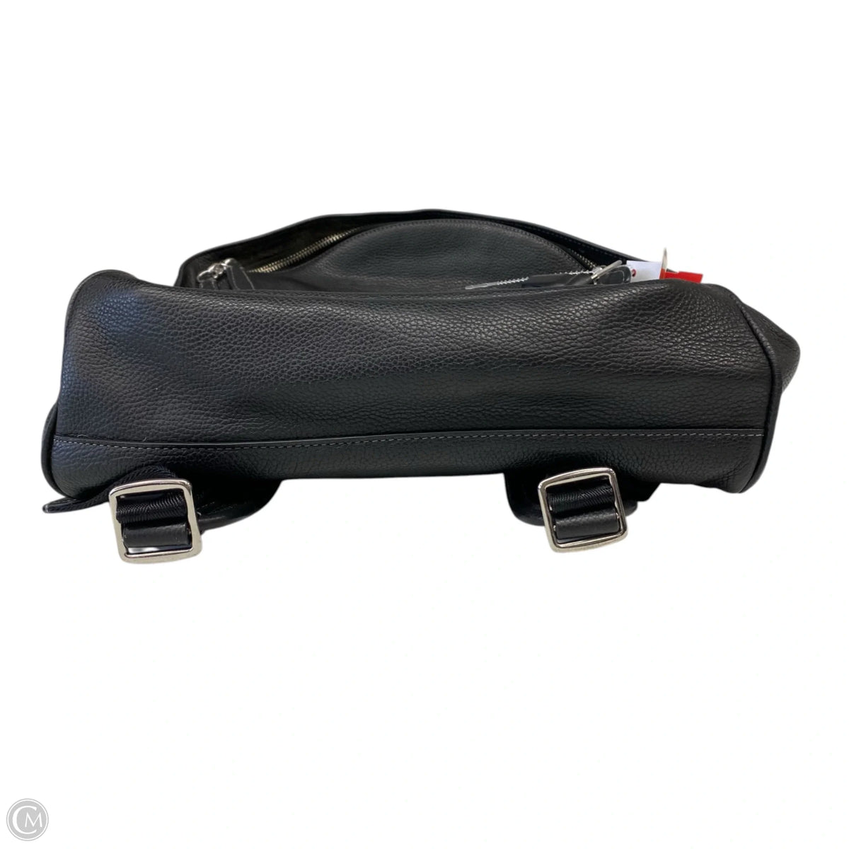 Backpack Designer By Coach, Size: Medium