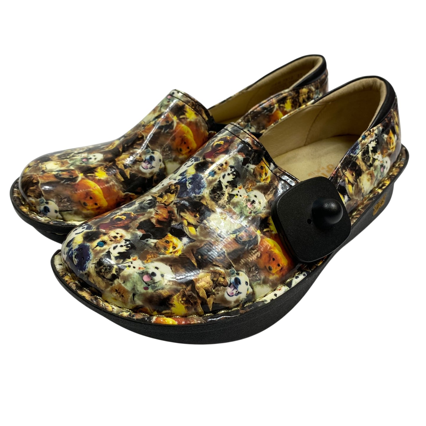 Shoes Flats By Alegria In Animal Print, Size:6.5