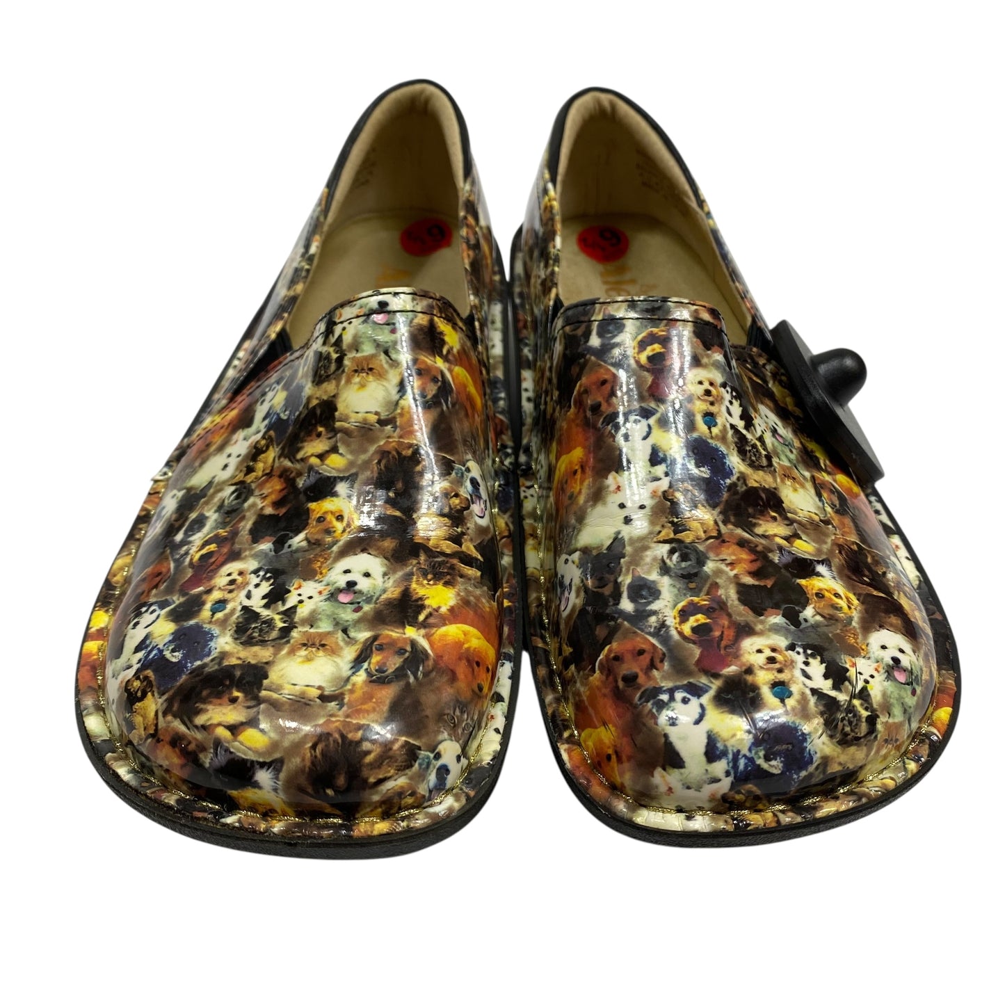 Shoes Flats By Alegria In Animal Print, Size:6.5
